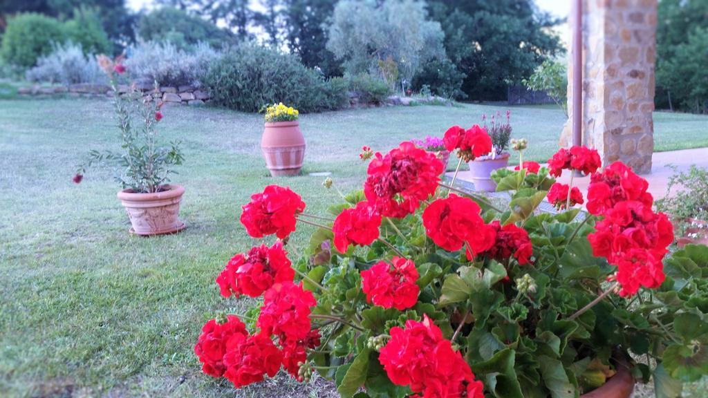 Agriturismo Bonzalone Montiano  Exterior foto